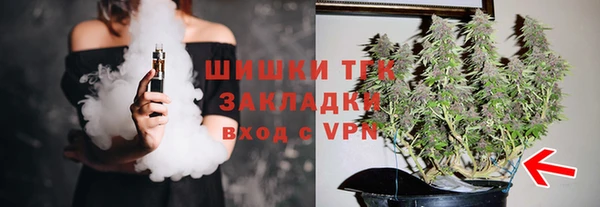 ГАЛЛЮЦИНОГЕННЫЕ ГРИБЫ Богданович
