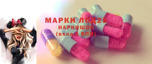 ГАЛЛЮЦИНОГЕННЫЕ ГРИБЫ Богданович