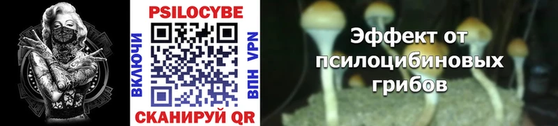 Псилоцибиновые грибы Psilocybe  Борзя 